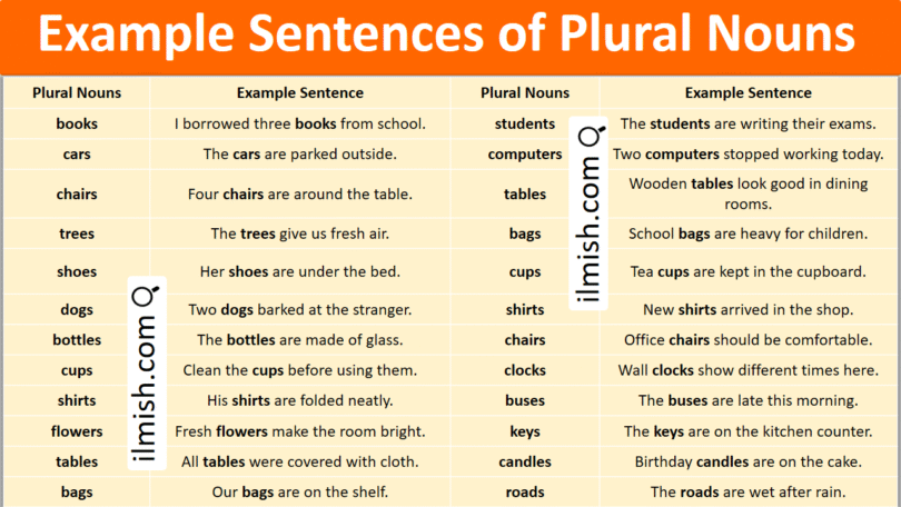Example Sentences of Plural Nouns in English with Pictures