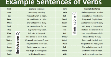 Example Sentences of Verbs in English with Pictures
