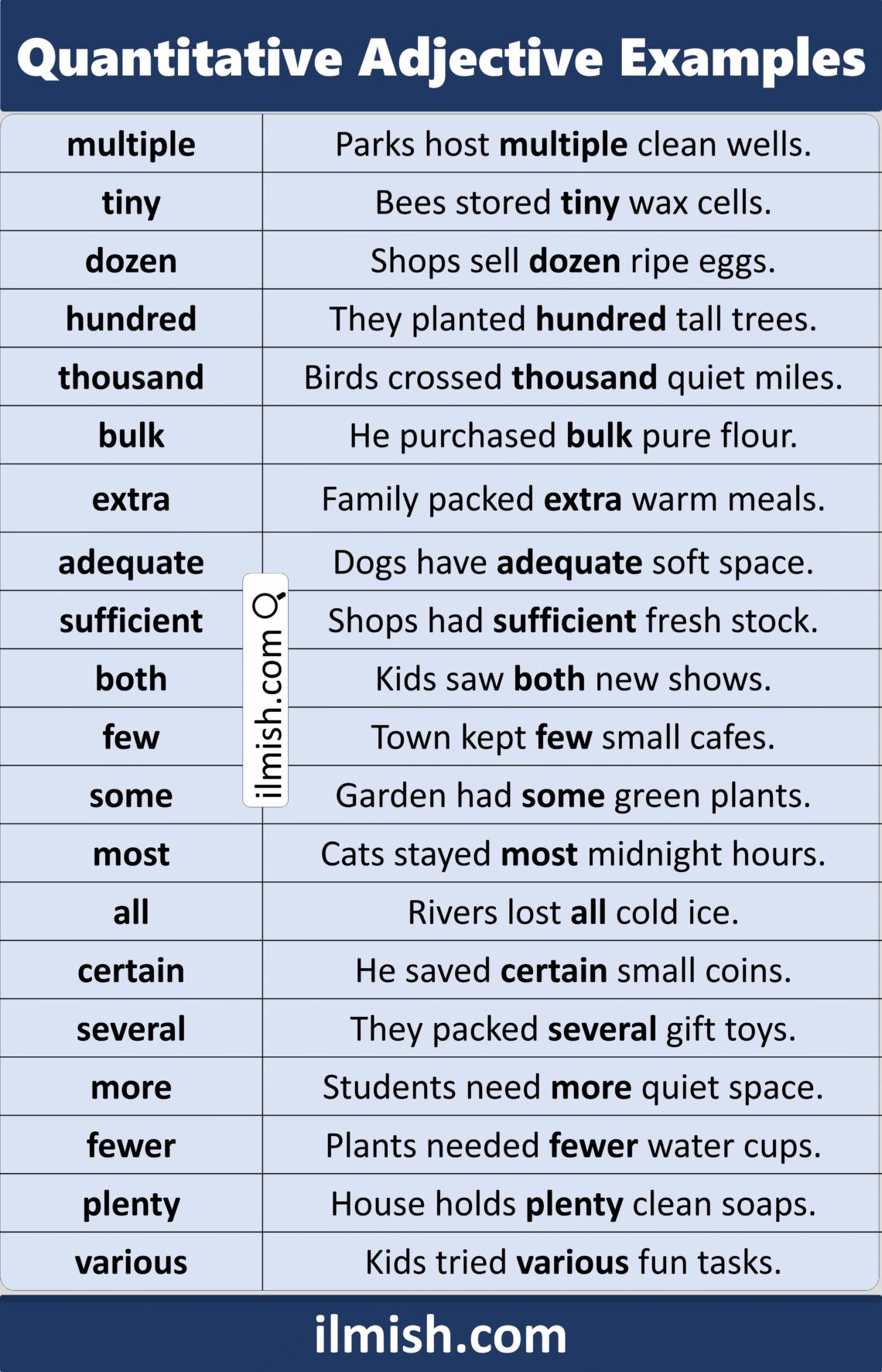 Example Sentences of Quantitative Adjectives in English - ilmish