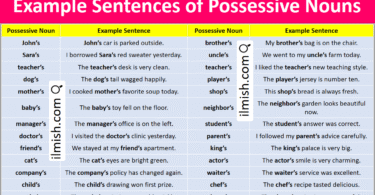 Example sentences of Possessive Nouns in English with Pictures