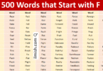 Common Words that start with I in English with Pictures