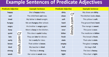 Example Sentences Predicate Adjectives in English and Pictures
