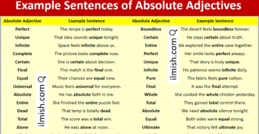 Example Sentences of Absolute Adjectives in English and Pictures