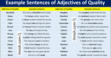 Example Sentences of Adjectives of Quality in English and Pictures