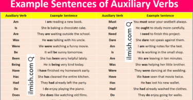 Example Sentences of Auxiliary Verbs in English and Pictures