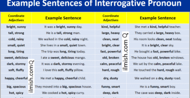 Example Sentences of Coordinate Adjectives in English and Pictures