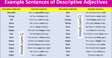 Example Sentences of Descriptive Adjectives in English and Pictures