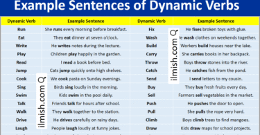 Example Sentences of Dynamic Verbs in English and Pictures