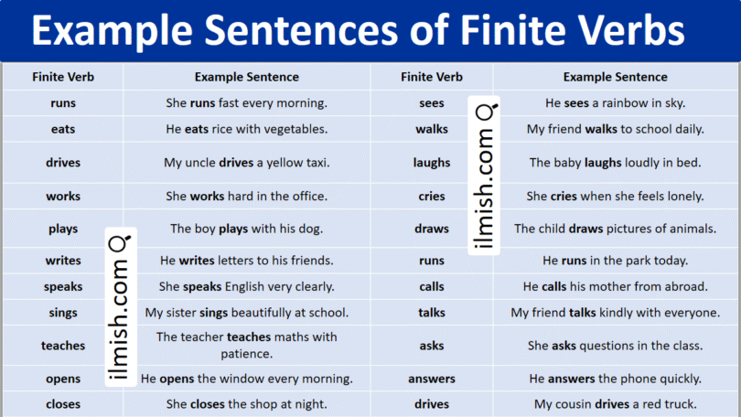 Example Sentences of Finite Verbs in English and Pictures