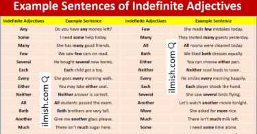 Example Sentences of Indefinite Adjectives in English and Pictures