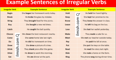 Example Sentences of Irregular Verbs in English and Pictures