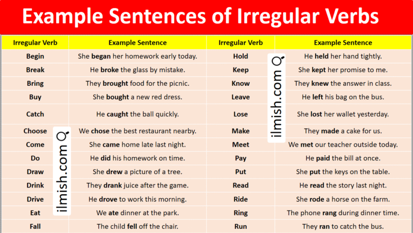 Example Sentences of Irregular Verbs in English and Pictures