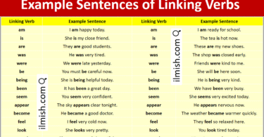 Example Sentences of Linking Verbs in English and Pictures