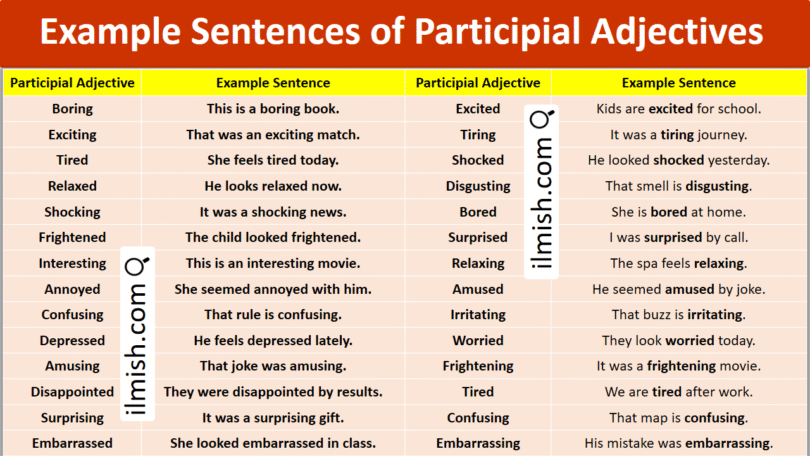 Example Sentences of Participial Adjectives in English and Pictures