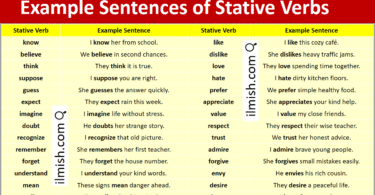 Example Sentences of Stative Verbs in English and Pictures