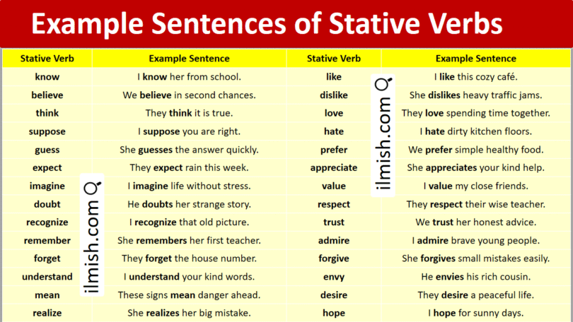 Example Sentences of Stative Verbs in English and Pictures