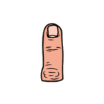 Center Finger Body Parts Names for Kids in English with Pictures - ilmish