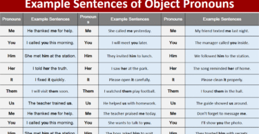 100 Example Sentences of Object Pronouns in English