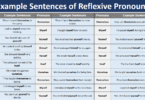 100 Example Sentences of Reflexive pronouns in English