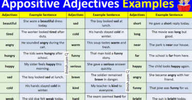 Examples of Appositive adjectives in English with Pictures