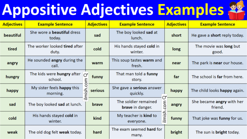 Examples of Appositive adjectives in English with Pictures