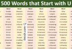 Words that Start with U in English with Pictures
