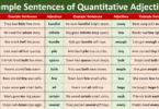 100 Example Sentences of Quantitative Adjectives in English