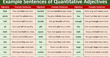 100 Example Sentences of Quantitative Adjectives in English