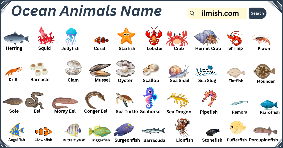 List of Ocean Animals Names in English with Pictures