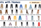 List of Pants with Types and Names in English with Pictures