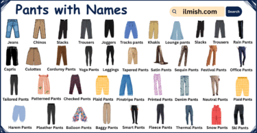 List of Pants with Types and Names in English with Pictures