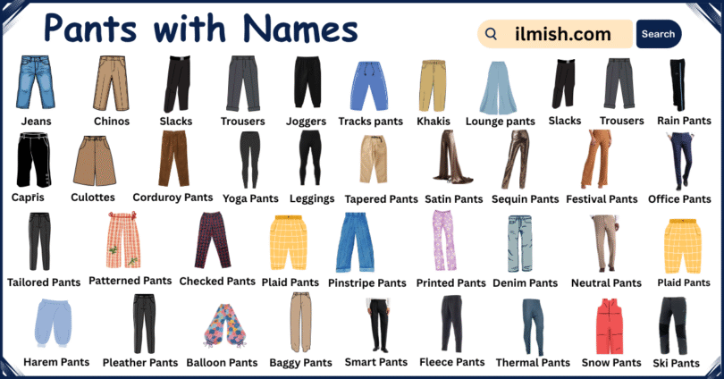 List of Pants with Types and Names in English with Pictures