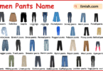 List of Women Pants with Names in English with Pictures