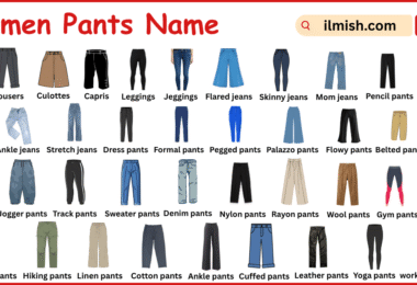 List of Women Pants with Names in English with Pictures