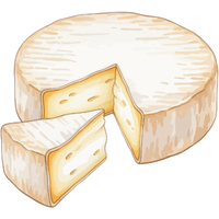 Camembert