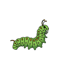 Caterpillar | Butterflies with Names and Types