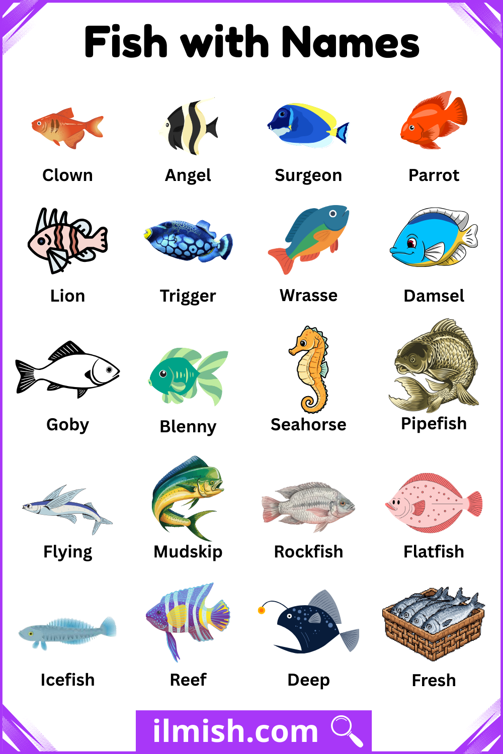 Common Types of Fish and Names with Pictures