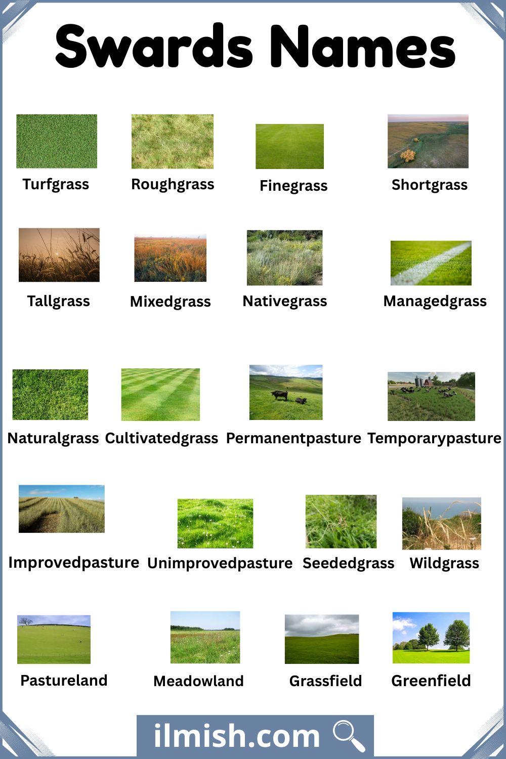 Common Types of Swards with Pictures