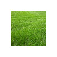 Conservationgrass