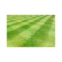 Cultivatedgrass | Swards with Types and Names