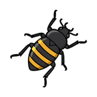 Darkling beetle | Crawling Insects Names