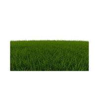 Densegrass