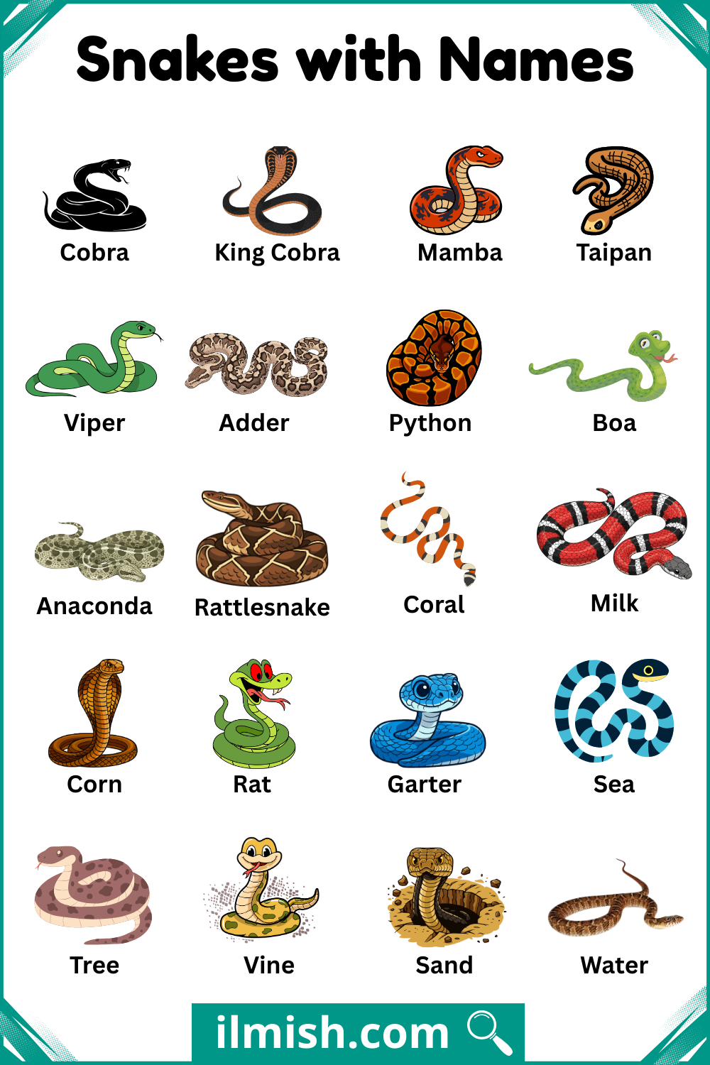Different Types of Snakes with Names and Pictures