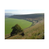 Downland | Swards with Types and Names