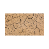 Dryland | Swards with Types and Names