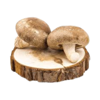 Edible | Mushrooms with Names and Types