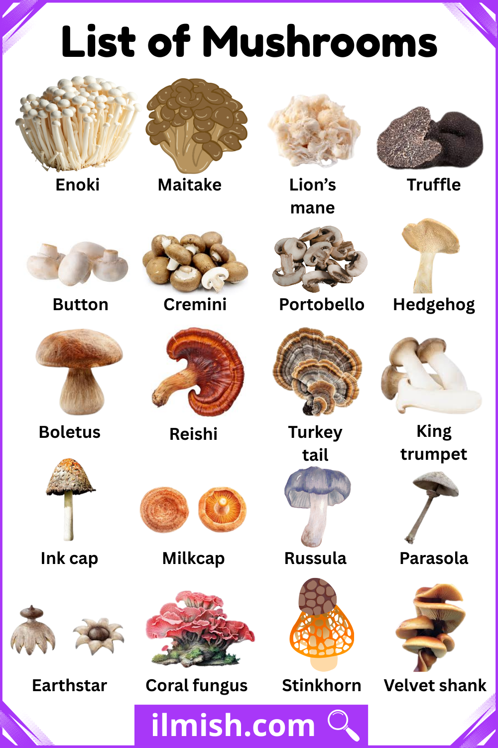 English Names of Mashrooms with Images
