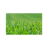 Farmgrass