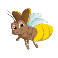 Firefly | Crawling Insects Names