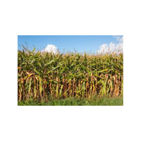 Fodderland | Swards with Types and Names